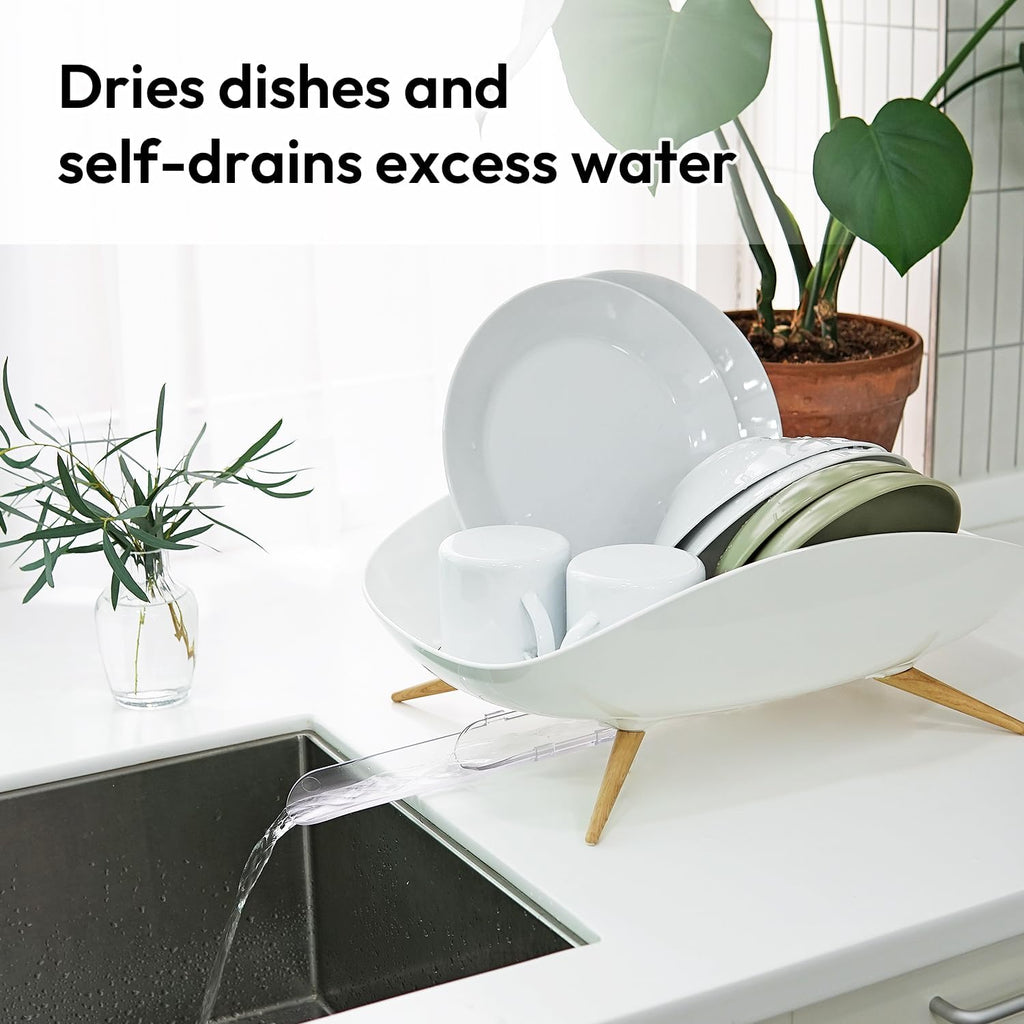 Premium Self-Draining Dish Drainer | Minimalist Anti-Rust Rack 🍽️